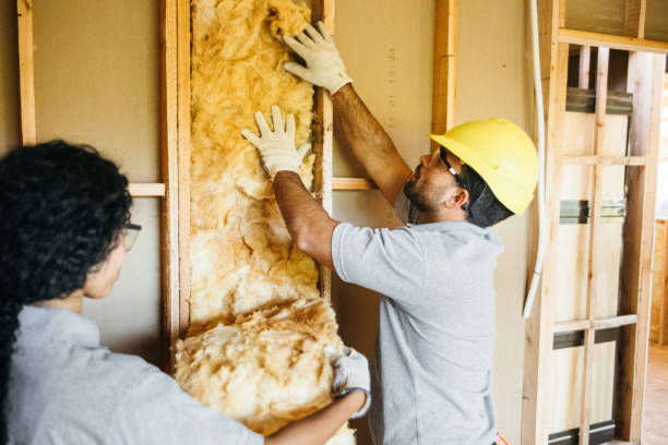 Best Cellulose Insulation  in Norco, CA