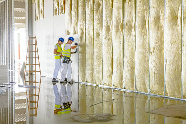 Best Commercial Insulation Contractor  in Norco, CA